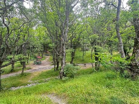 Torpaq - Xızı - 1000 sot