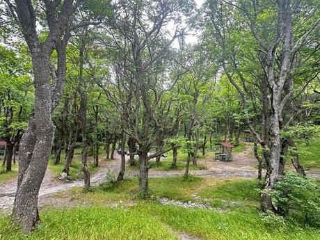 Torpaq - Xızı - 1000 sot