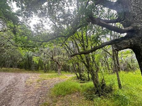 Torpaq - Xızı - 1000 sot