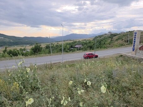 Torpaq - Şamaxı - 53 sot