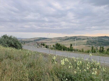Torpaq - Şamaxı - 53 sot