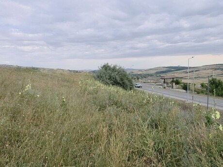 Torpaq - Şamaxı - 53 sot