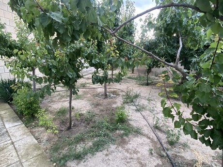 6 otaqlı həyət evi, 300 m², Novxanı: 355 000 ₼ 5