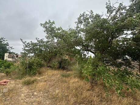 Объявление №5342780 - Баку, пос. Пиршаги, 25 сот