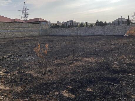 Torpaq - Fatmayı q. - 16 sot