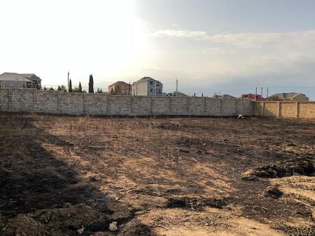 Torpaq - Fatmayı q. - 16 sot