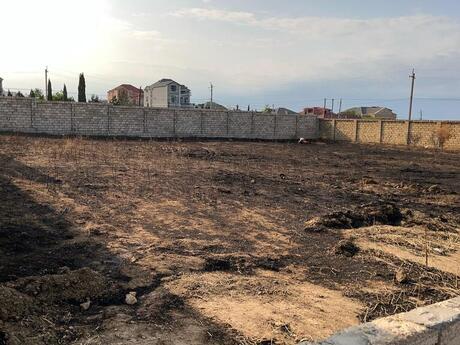 Torpaq - Fatmayı q. - 16 sot