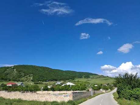 Torpaq - Şamaxı - 6 sot