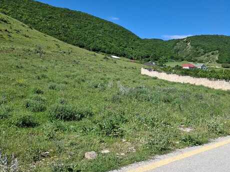 Объявление №5353317 - Шемаха, Шемаха, 6 сот