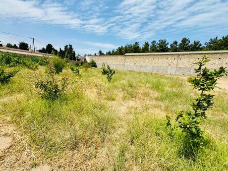 Объявление №5354947 - Баку, пос. Шувеляны, 12 сот