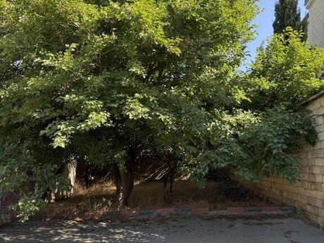 Həyət evi/Bağ evi - Novxanı q. - 80 m²