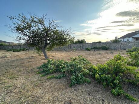 Объявление №5359984 - Баку, пос. Бузовна, 12 сот