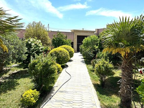 7 otaqlı həyət evi/bağ evi - Badamdar q. - 700 m²