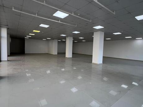 Elan №5361285 - Bakı, Şüvəlan q., 1300 m²