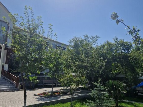 Elan №5361407 - Qəbələ, Qəbələ, 1400 m²