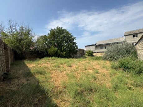 Torpaq - Badamdar q. - 3 sot