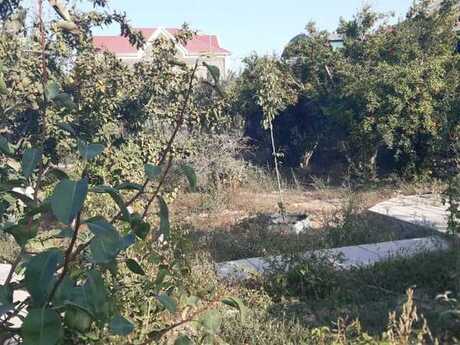 4 otaqlı həyət evi/bağ evi - Buzovna q. - 130 m²