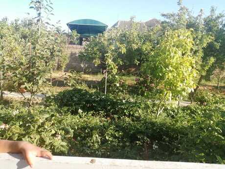 4 otaqlı həyət evi/bağ evi - Buzovna q. - 130 m²