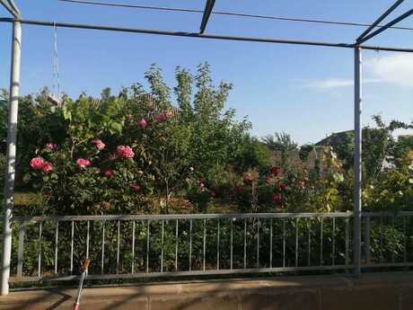4 otaqlı həyət evi/bağ evi - Buzovna q. - 130 m²