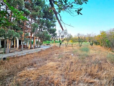 Объявление №5363377 - Баку, пос. Мардакан, 25 сот