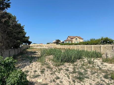 Torpaq - Novxanı q. - 100 sot