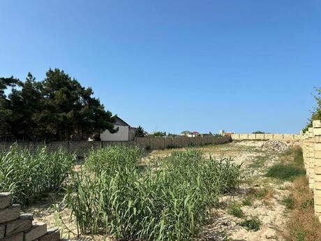 Torpaq - Novxanı q. - 100 sot