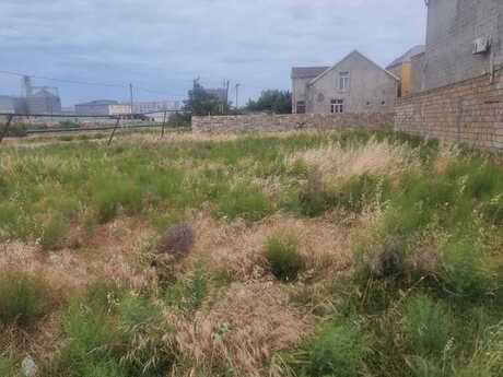 Torpaq - Qobu q. - 40 sot