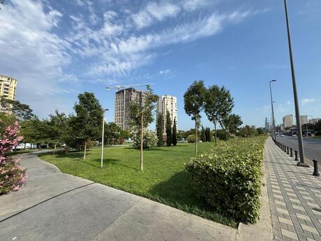2 otaqlı köhnə tikili - Nizami m. - 50 m²
