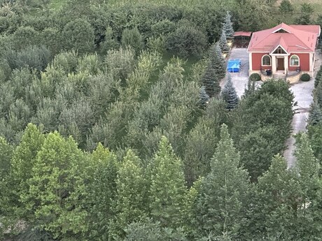4 otaqlı həyət evi/bağ evi - Qusar - 100 m²