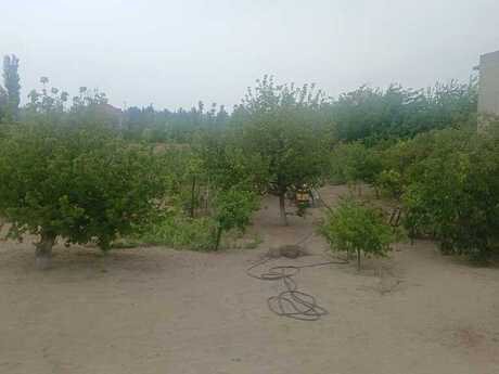 Torpaq - Novxanı q. - 4 sot