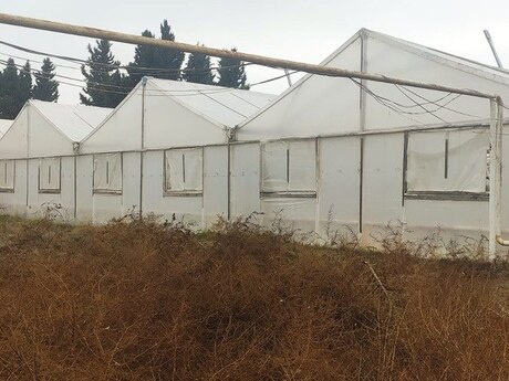 Объявление №5376448 - Гаджигабул, Гаджигабул, 200 м²