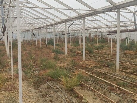 Объект - Гаджигабул - 200 м²