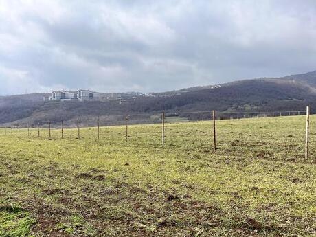 Объявление №5376919 - Исмаиллы, Исмаиллы, 142 сот