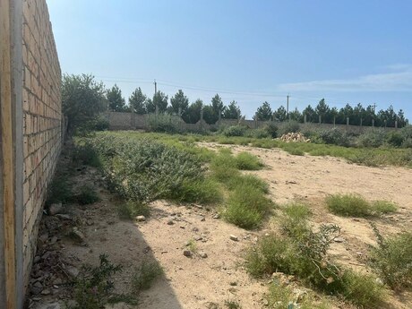 Участок - пос. Фатмаи - 12 сот