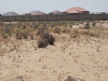 Участок - пос. Нардаран - 11 сот