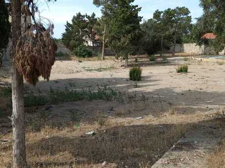 Участок - пос. Мардакан - 21 сот