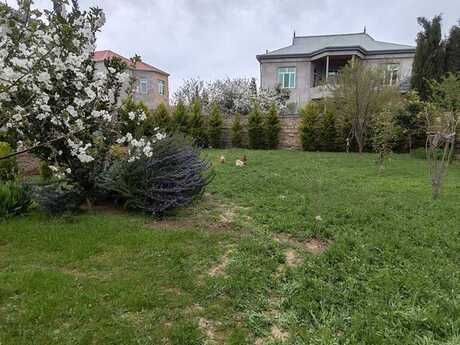 8 otaqlı həyət evi/bağ evi - Buzovna q. - 300 m²