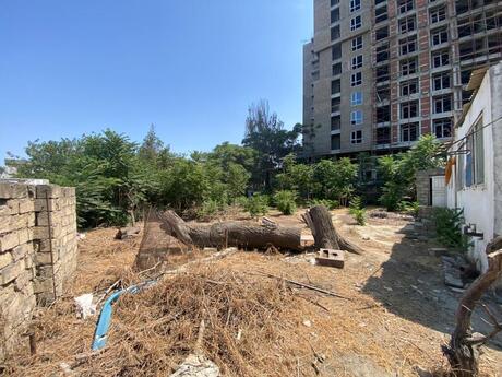 Объявление №5379928 - Баку, пос. М. Расулзаде, 9.5 сот