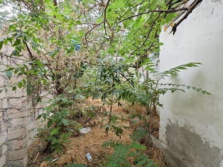 Объявление №5382071 - Баку, пос. Бакиханова, 3.5 сот