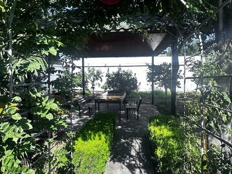 5 otaqlı həyət evi/bağ evi - Novxanı q. - 220 m²