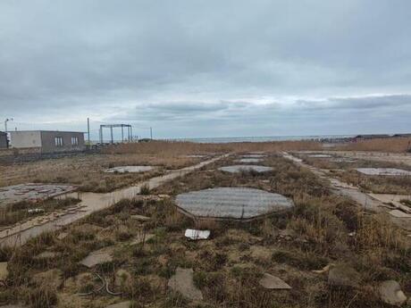 Elan №5383914 - Bakı, Novxanı q., 60 sot