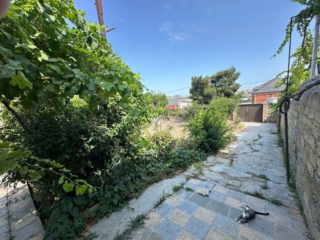 Torpaq - Binəqədi r. - 6 sot