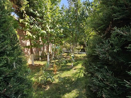 8 otaqlı həyət evi, 300 m², Novxanı: 385 000 ₼ 5