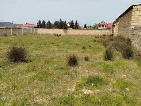 Torpaq - Novxanı q. - 20 sot