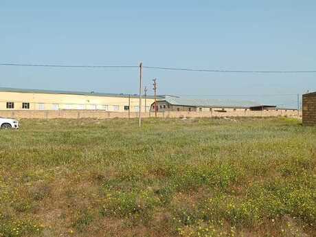 Torpaq - Saray q. - 30 sot