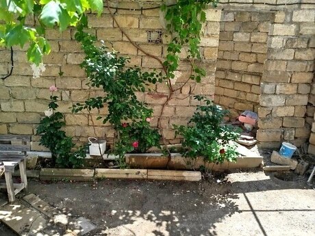 4 otaqlı həyət evi/bağ evi - Novxanı q. - 130 m²