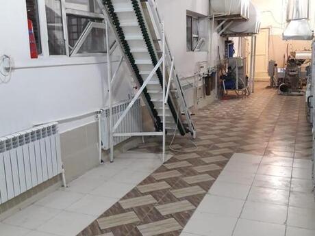 Объявление №5404351 - Баку, пос. Мехтиабад, 600 м²