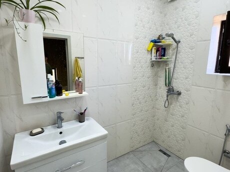 4 otaqlı həyət evi/bağ evi - Albalılıq q. - 320 m²