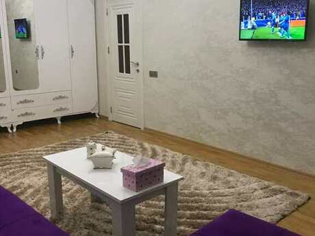 1 otaqlı yeni tikili - Azadlıq Prospekti m. - 50 m²