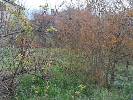 Torpaq - Albalılıq q. - 9 sot